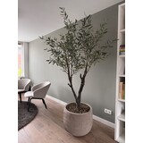 NU PUUR & GROEN Domani potte «Graz» naturgrå / inkludert oliventre fra Silk-Ka