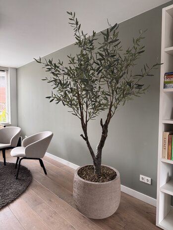 NU PUUR & GROEN Domani pot "Graz" natural grey / including olive tree by Silk-Ka
