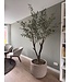 NU PUUR & GROEN Vaso Domani "Graz" grigio naturale / con ulivo di Silk-Ka