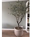 NU PUUR & GROEN Domani pot "Graz" natural grey / inclusief olijfboom van Silk-Ka