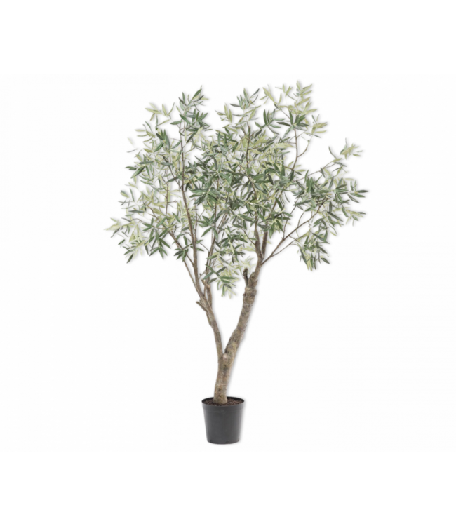 NU PUUR & GROEN Domani pot "Graz" natural grey / inclusief olijfboom van Silk-Ka