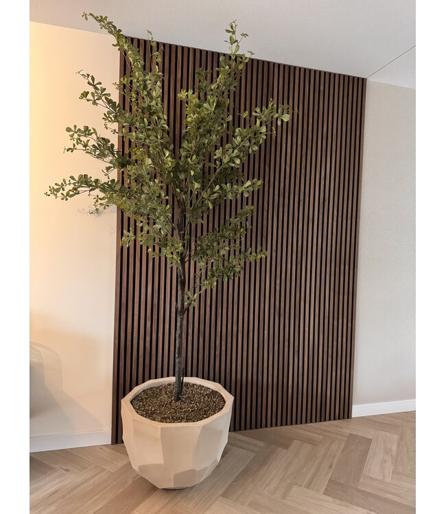 NU PUUR & GROEN Domani pot "BILBAO" natural white / inclusief Bucida boom van Silk-Ka