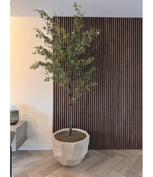 NU PUUR & GROEN Domani pot "BILBAO" natural white / inclusief Bucida boom van Silk-Ka
