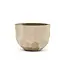 NU PUUR & GROEN Domani pot "BILBAO" natural white / inclusief Bucida boom van Silk-Ka