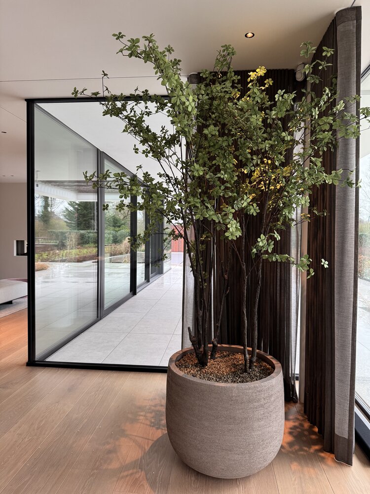 NU PUUR & GROEN Domani pot "Graz" natural grey / including Bucida trees from Silk-Ka