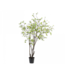NU PUUR & GROEN Set van 2 Domani "GRAZ" potten natural white / inclusief Bucida bomen van Silk-Ka