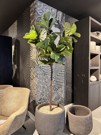 NU PUUR & GROEN Pot Domani « Graz » noir naturel / contenant un Ficus lyrata de Silk-Ka