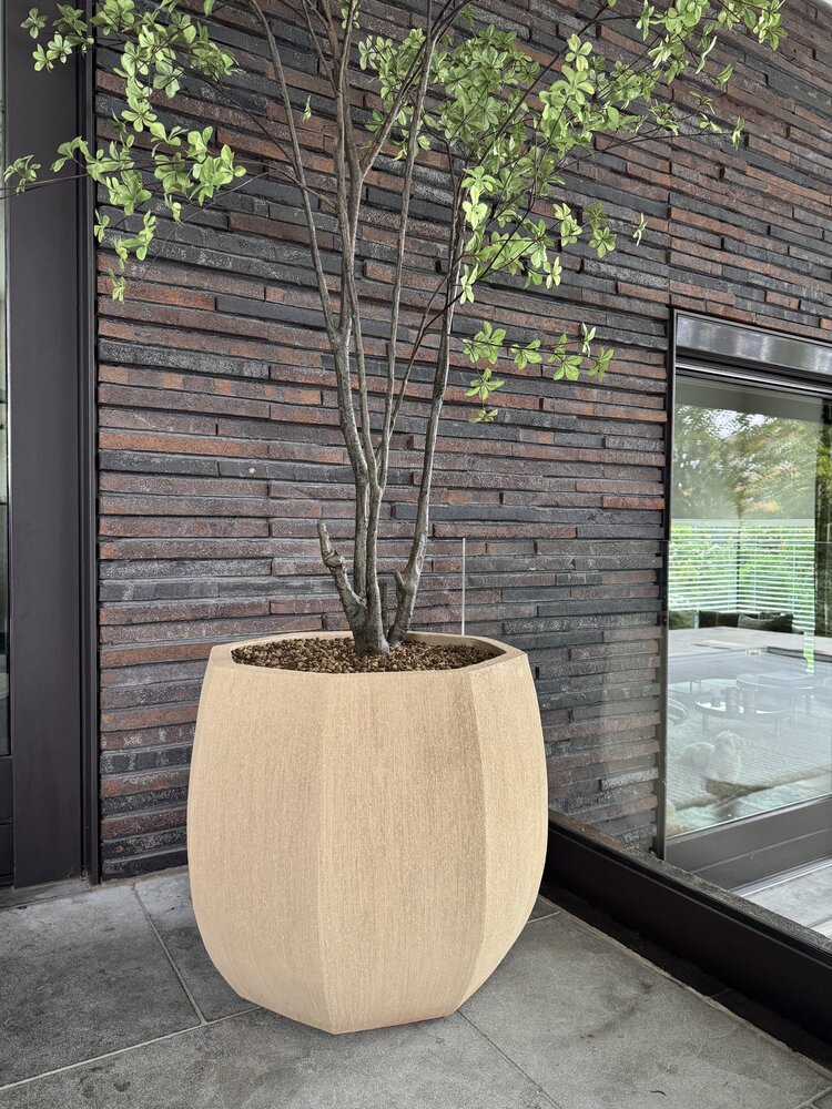 NU PUUR & GROEN Vaso Domani "ALMA" bianco naturale / incluso albero Bucida di Silk-Ka