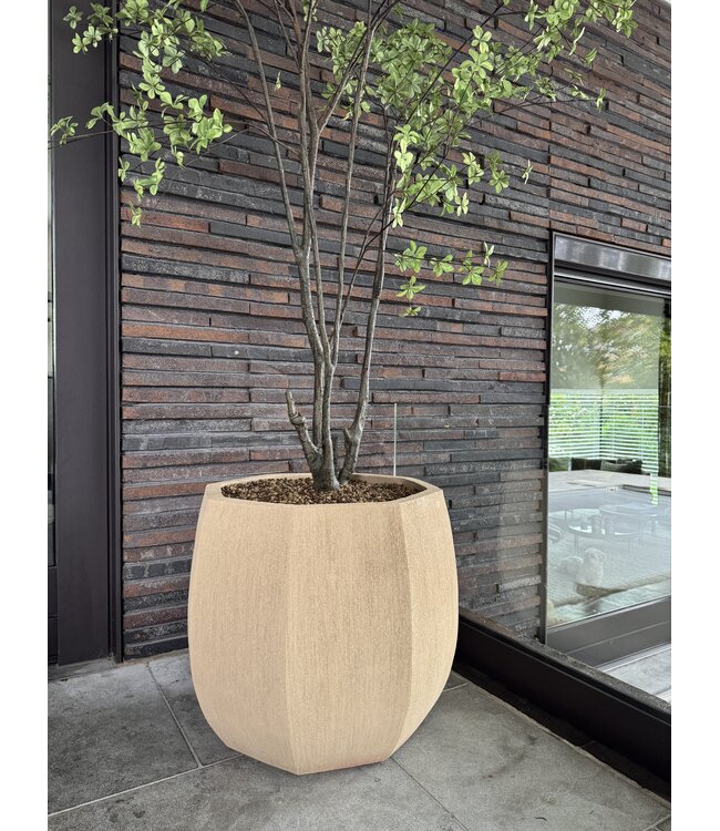 NU PUUR & GROEN Domani pot "ALMA" natural white / inclusief Bucida boom van Silk-Ka