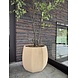 NU PUUR & GROEN Domani pot "ALMA" natural white / inclusief Bucida boom van Silk-Ka