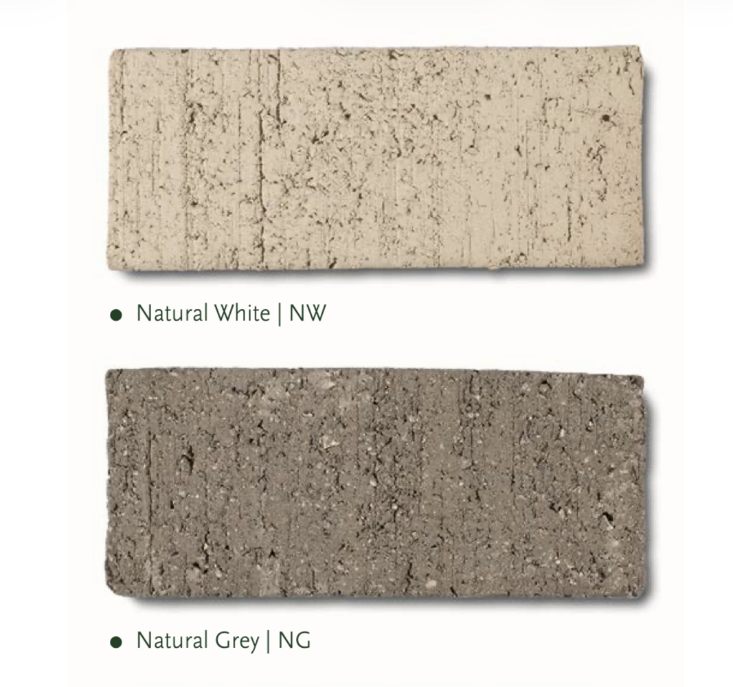 NU PUUR & GROEN Domani-Topf "ALMA" naturweiß / einschließlich Bucida-Baum von Silk-Ka