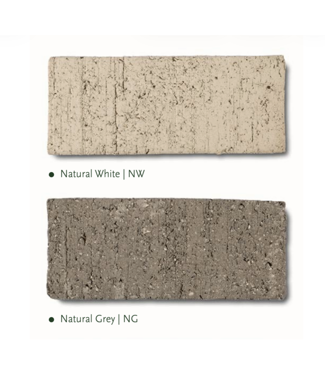 NU PUUR & GROEN Domani pot "ALMA" natural white / inclusief Bucida boom van Silk-Ka