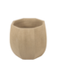 NU PUUR & GROEN Domani pot "ALMA" natural white / inclusief Bucida boom van Silk-Ka