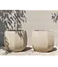 NU PUUR & GROEN Domani pot "ALMA" natural white / inclusief Bucida boom van Silk-Ka