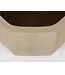 NU PUUR & GROEN Domani pot "ALMA" natural white / inclusief Bucida boom van Silk-Ka