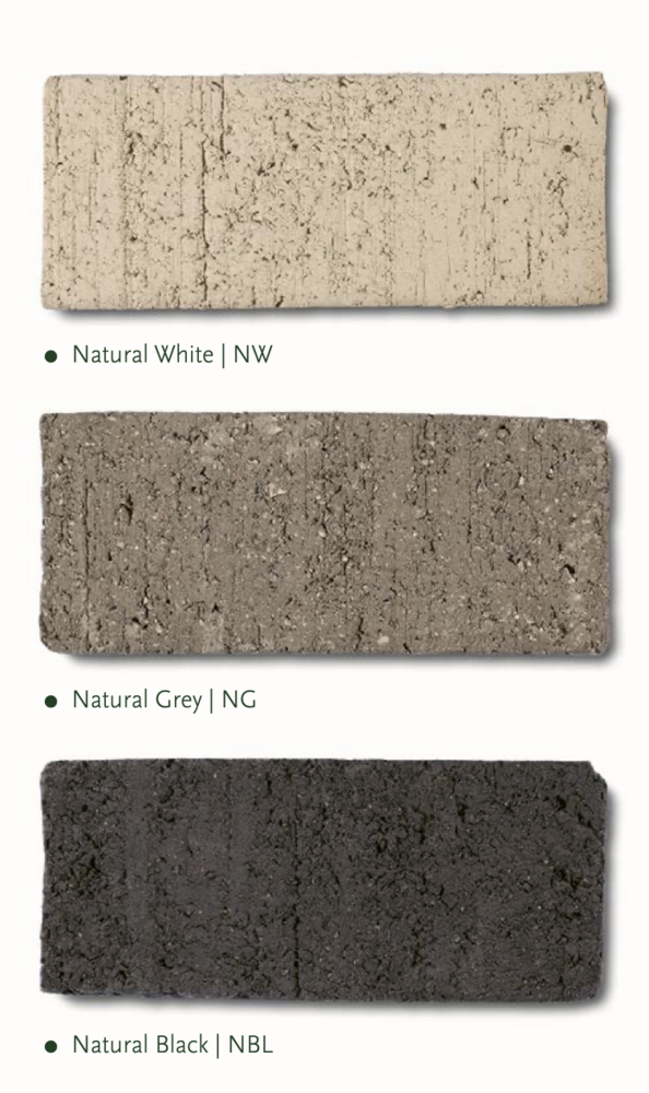 NU PUUR & GROEN Maceta Domani "Graz" blanco natural / incluye árbol Bucida de Silk-Ka