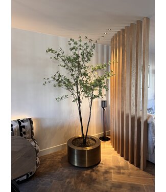 NU PUUR & GROEN "CUPRUM" ottone / incluso albero Bucida da Silk-Ka