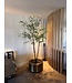 NU PUUR & GROEN "CUPRUM" pot messing / inclusief Bucida boom van Silk-Ka