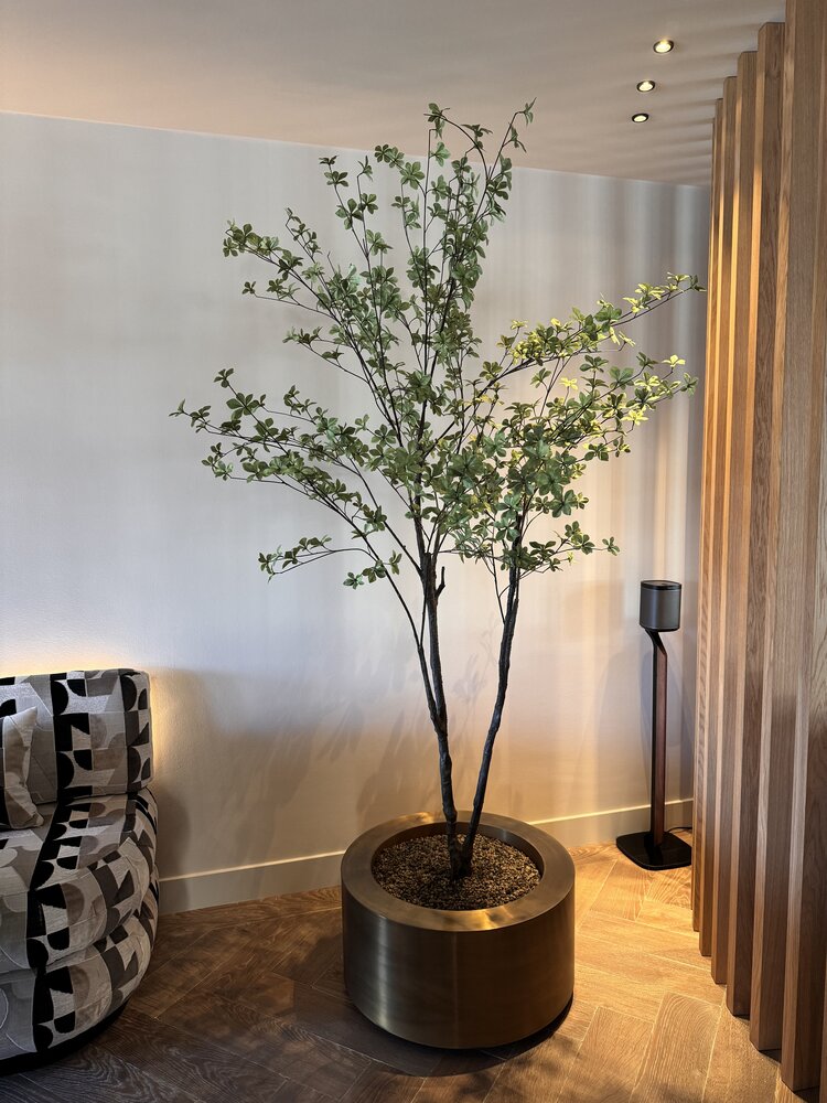 NU PUUR & GROEN "CUPRUM" Messingtopf / einschließlich Bucida-Baum von Silk-Ka