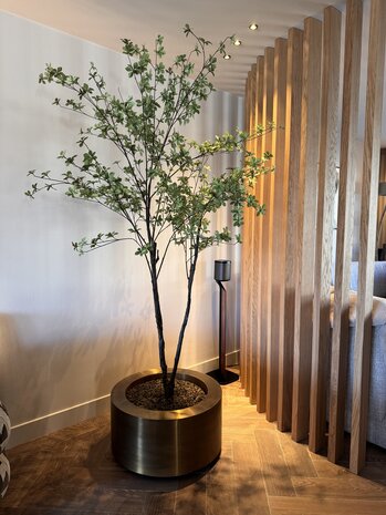 NU PUUR & GROEN "CUPRUM" ottone / incluso albero Bucida da Silk-Ka