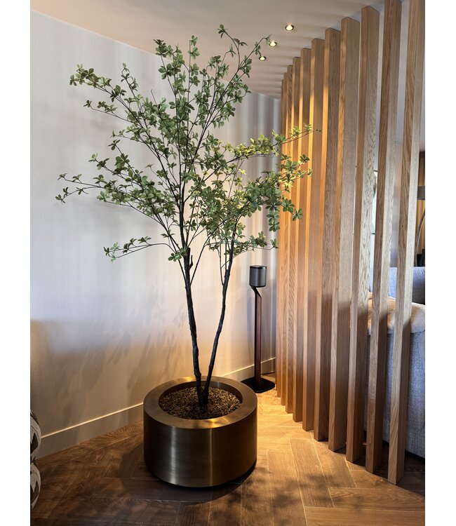 NU PUUR & GROEN "CUPRUM" pot messing / inclusief Bucida boom van Silk-Ka