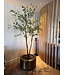 NU PUUR & GROEN "CUPRUM" pot messing / inclusief Bucida boom van Silk-Ka