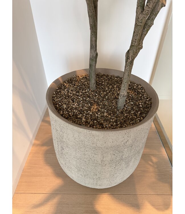 NU PUUR & GROEN Domani pot "HELSINKI" Dune / inclusief Ficus boom van Silk-Ka
