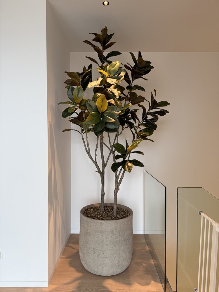 NU PUUR & GROEN Maceta Domani "HELSINKI" Dune / incluye ficus de Silk-Ka