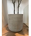 NU PUUR & GROEN Domani pot "HELSINKI" Dune / inclusief Ficus boom van Silk-Ka