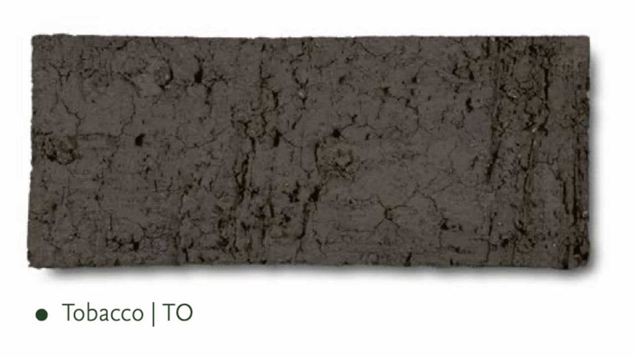 NU PUUR & GROEN Domani-Topf "HELSINKI" Dune / inklusive Ficusbaum von Silk-Ka