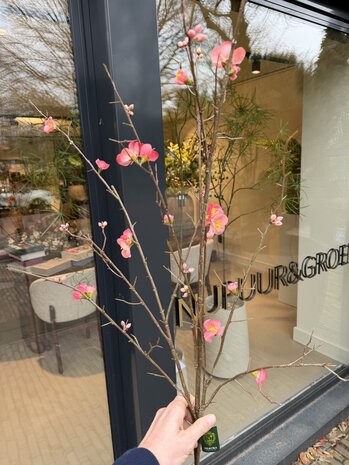 SILK-KA Blomstrende gren skjønnhet | 154 cm