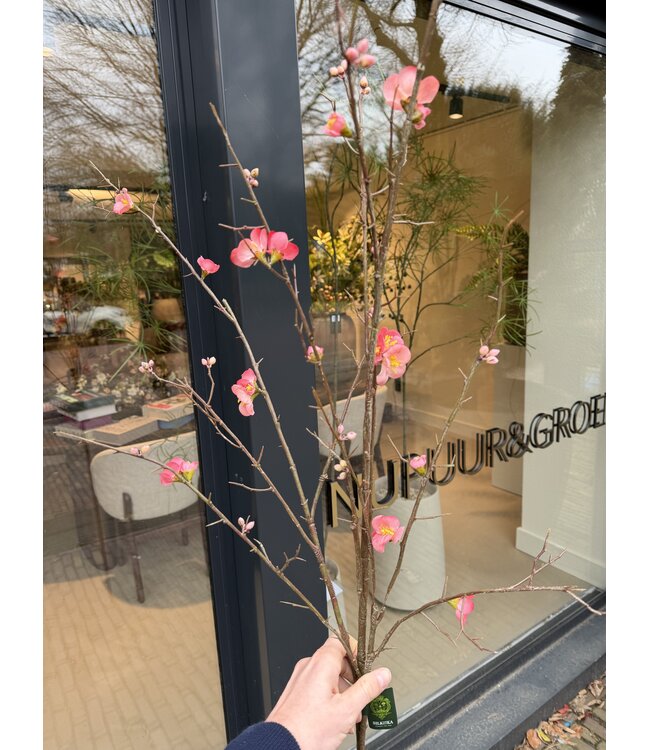 SILK-KA Bloesem Tak Beauty | 154 cm