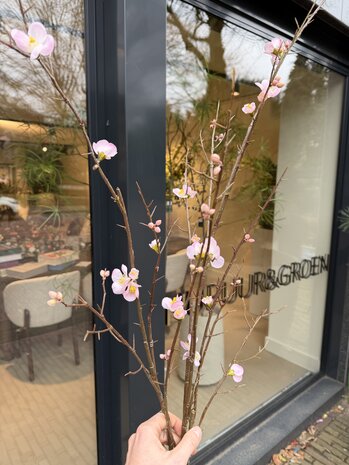 SILK-KA Blossom Branch Pink LT | 154 cm