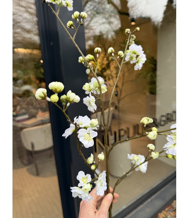 SILK-KA Blomstergren Kremfarget/Grønn | 118 cm