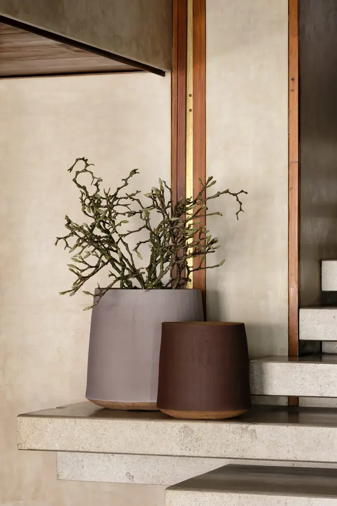 DOMANI BASTIA | Burgunder DOMANI BASTIA | Burgunder