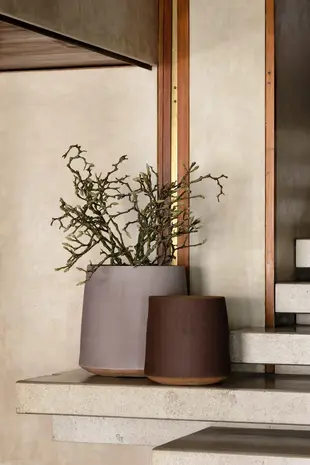 DOMANI BASTIA | Borgogna