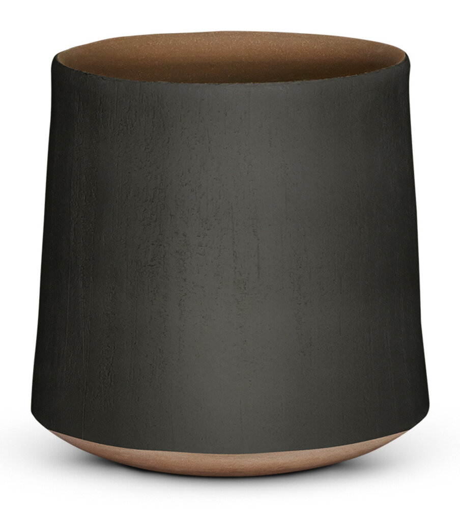 DOMANI BASTIA | Elephant