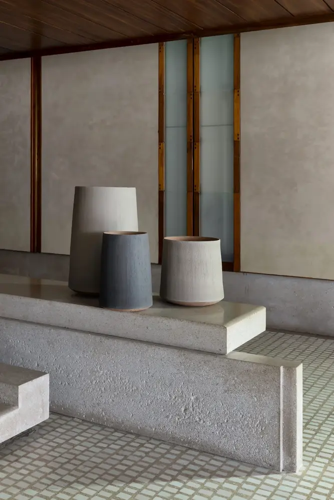 DOMANI BASTIA | Elefant