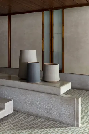 DOMANI BASTIA | Elefante DOMANI BASTIA | Elefante