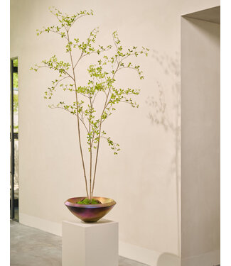 SILK-KA Kunstig Bucida-plante grønn | 235 cm