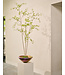 SILK-KA Kunstplant Bucida groen | 235 cm