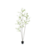 SILK-KA Pianta artificiale Bucida verde | 235 cm