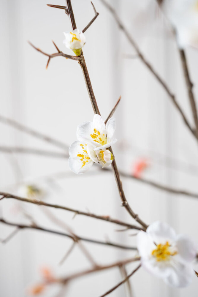 SILK-KA Blossom Branch White | 121 cm