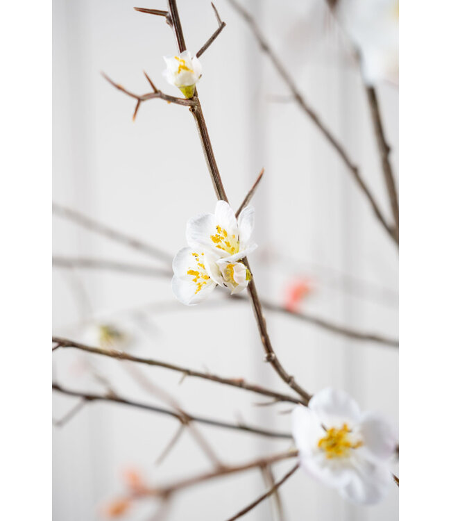 SILK-KA Branche fleurie blanche | 121 cm