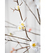 SILK-KA Blomstergren hvit | 121 cm