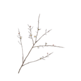 SILK-KA Weißer Blütenzweig | 121 cm