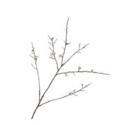 SILK-KA Bloesem Tak Wit | 121 cm