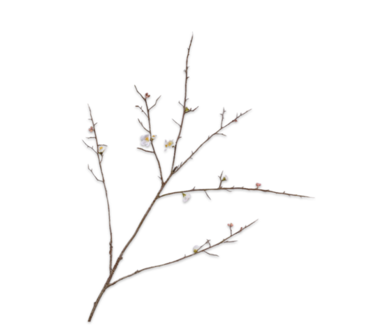 SILK-KA Rama de flor blanca | 121 cm