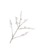 SILK-KA Blossom Branch White | 121 cm
