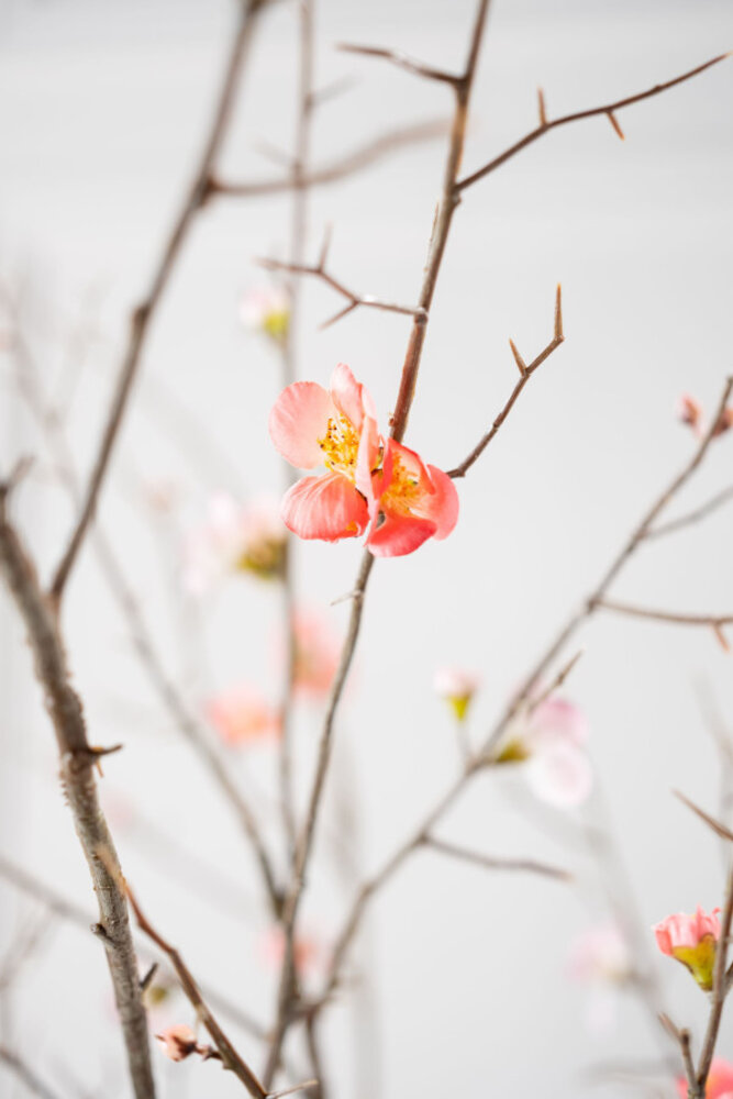 SILK-KA Belleza de la rama en flor | 121 cm